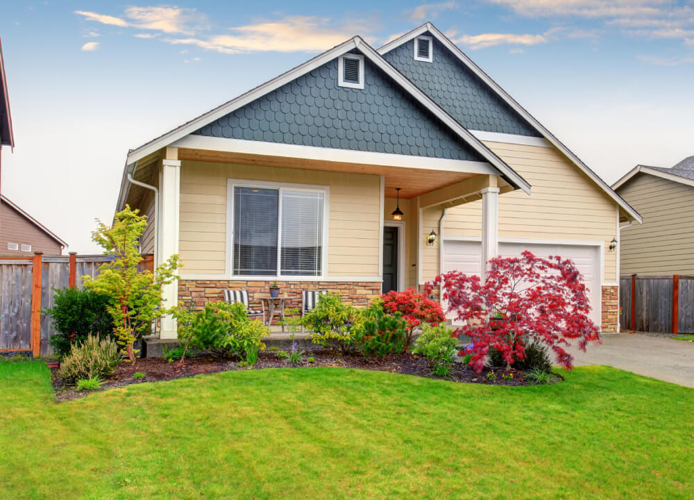 59956285_xl-Homedecor-and-garden