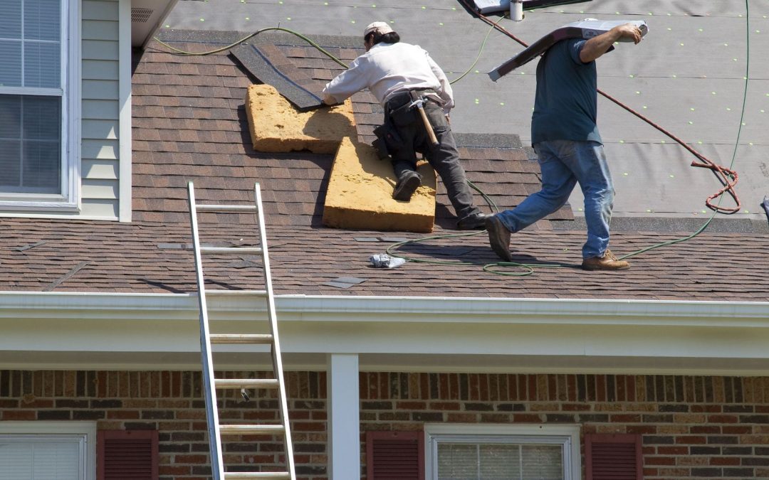 Expert Advice and Trends for Roofing in Louisville, KY