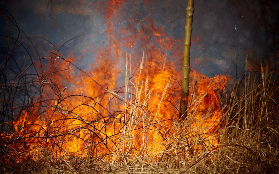 Restoring Your Home After a Fire: Smoke Damage Repair Service in Council Bluffs, IA