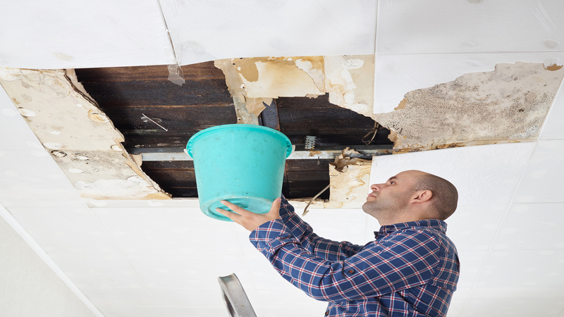 A Comprehensive Guide to Understanding the Importance of Water Damage Cleanup Services in Omaha, NE.