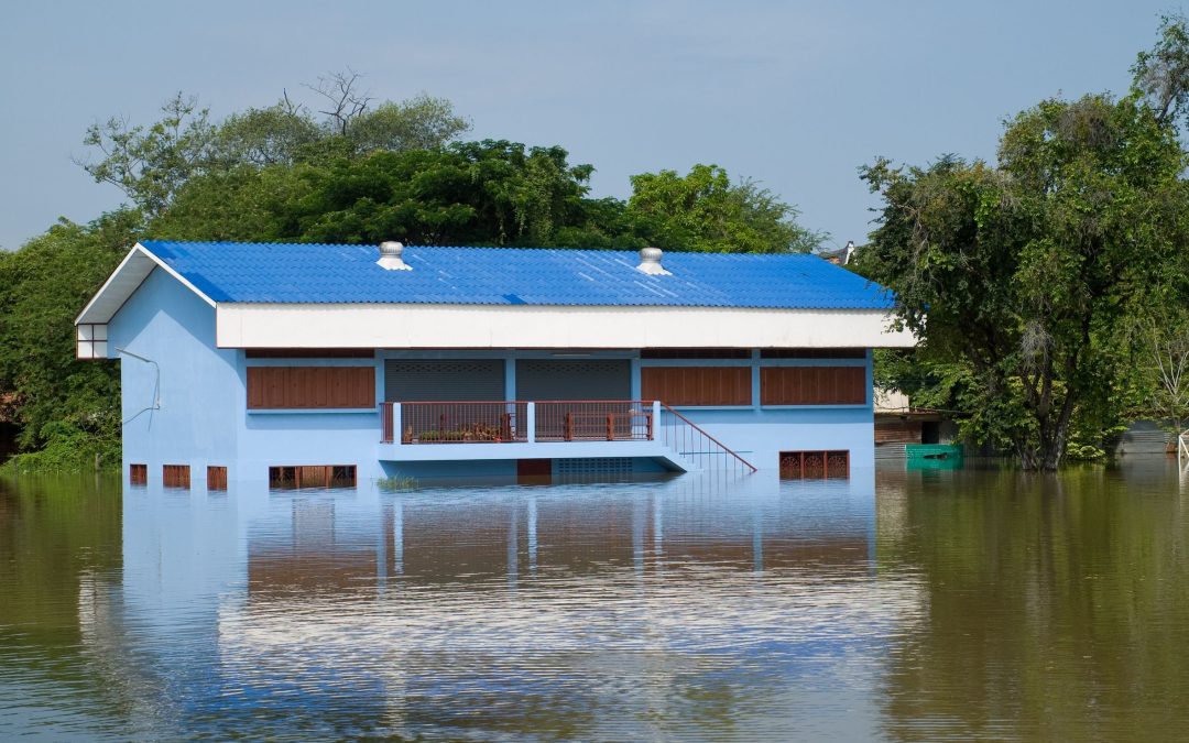 Combating the Tide: Premier Water Damage Repair Services in Council Bluffs, IA.