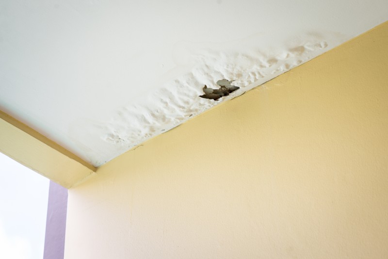 Handling the Waters: Skilled Water Damage Repair in Council Bluffs, IA