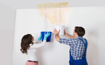 Prevent Mold and Health Risks with Timely Water Damage Repair Menifee CA Solutions