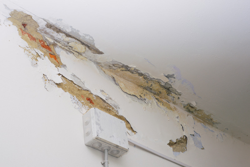 How Professional Mold Damage Remediation Services in Omaha, NE, Help You Preserve and Enhance Your Home