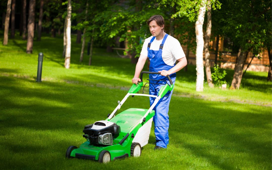 Exceptional Lawn Maintenance in Toronto to Keep Your Yard Immaculately Green and Healthy