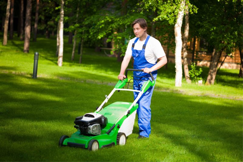 7217493_l-lawn-mower-man-on-the-backyard--e1731576988447