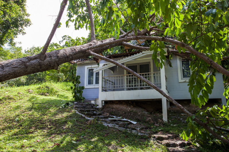 Weathering the Storm: Expert Storm Damage Restoration in Saunders County, NE, to Rebuild and Recover