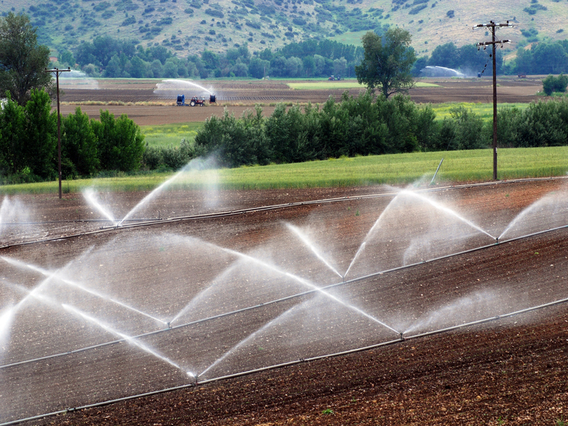 Choosing the Best Irrigation Companies in Austin: A Guide to Sustainable Landscaping