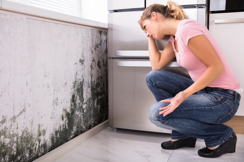 Restoring Integrity and Health in Mold-Affected Properties: A Step-by-Step Guide To Getting Mold Damage Repair Service in Council Bluffs, IA