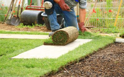 Unveil the Full Potential of Your Commercial Property with the Professional Services of a Lawn Care Company in MN