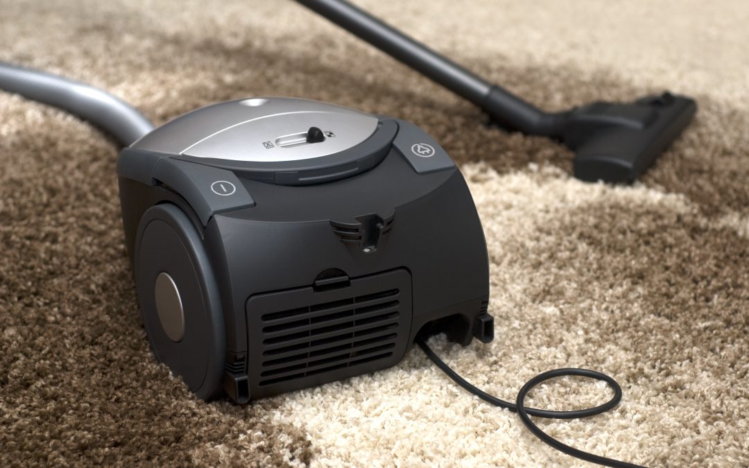 The Benefits of Hiring a Carpet Cleaning Company in West Palm Beach for Busy Households