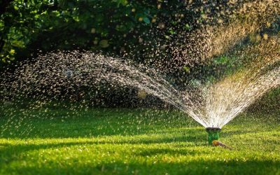 Get Fast Solutions for Watering Issues Using Rainbird Sprinkler Repair Austin Experts
