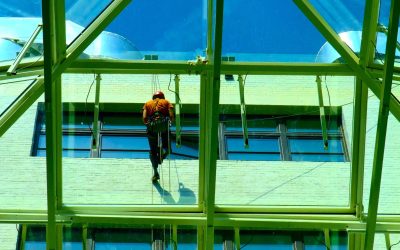 Residential Window Washing Delivers Cleaner Windows for Healthier Living Spaces