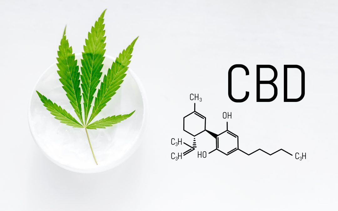 Finding Trusted Advice at a Weed Dispensary Springfield MA for Your Needs