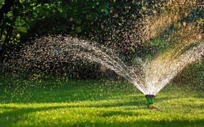 Simple Steps for Effective Sprinkler Maintenance Round Rock Residents Should Know