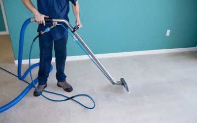 The Benefits Homeowners Gain from Scheduling Regular Carpet Washing Service Tampa, FL