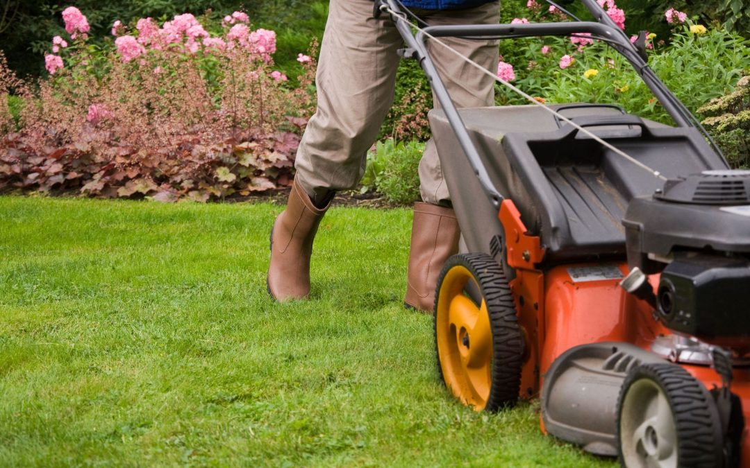 Boost Your Property Value with Commercial Lawn Maintenance Expertise
