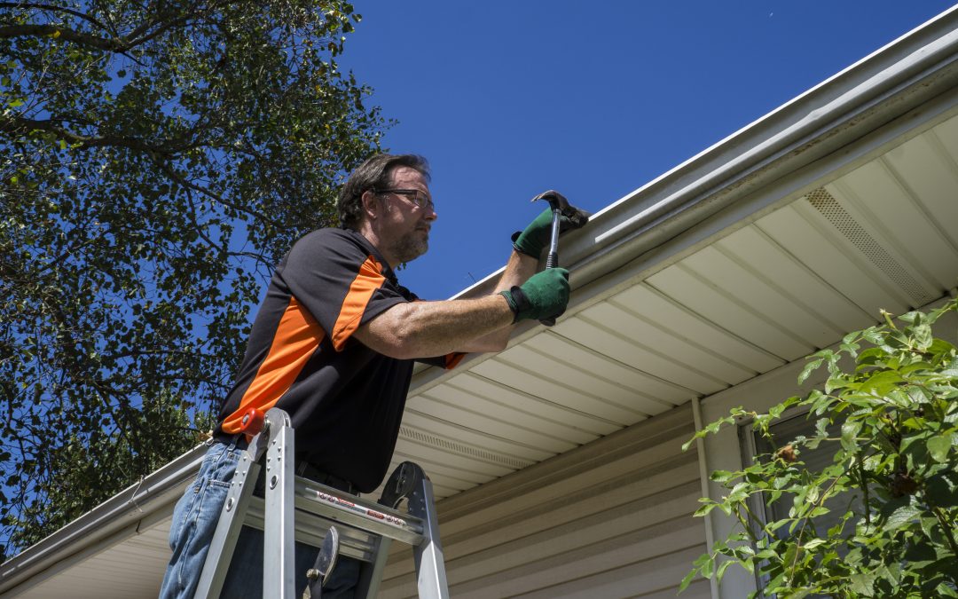 Keep Your Home Maintenance Easy with Durable Gutter Guards in Branford, CT