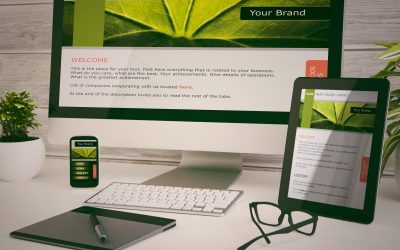 Small Businesses Succeed Using Website Development Service in Brooklyn, NY for Online Presence