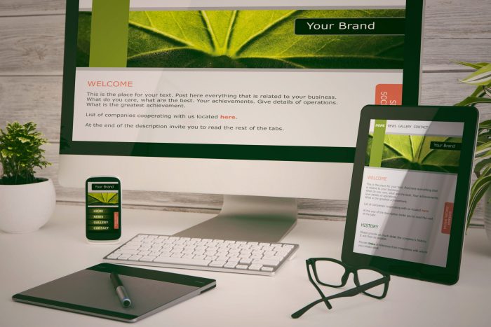 Responsive web design