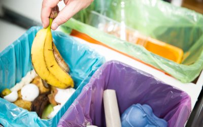 Save Time and Money With Residential Dumpster Rental Franklin County NY Solutions