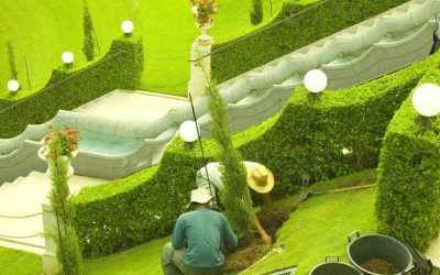 Prevent Common Issues by Choosing the Right Lawn Care Maple Grove Methods